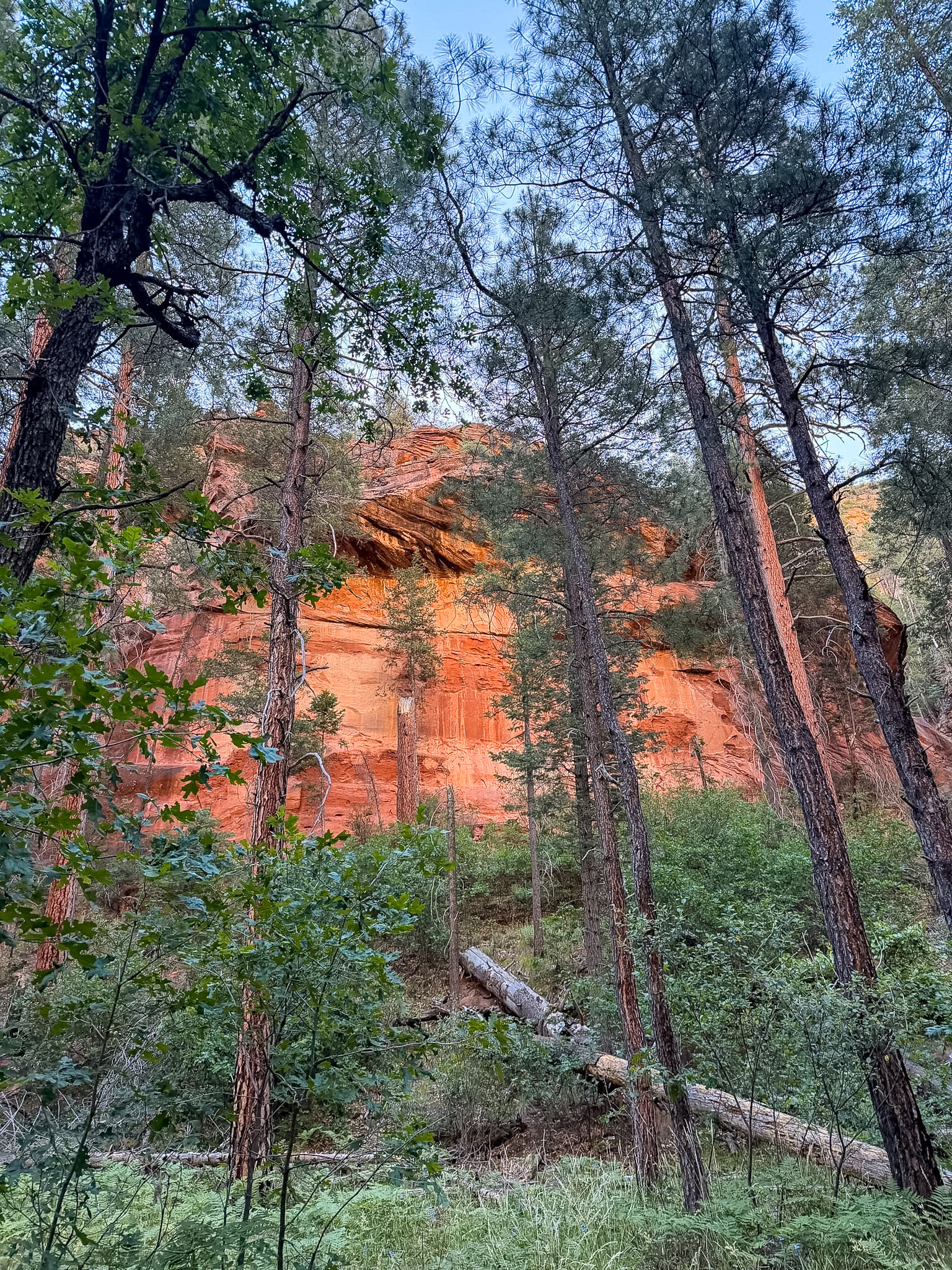 Shaded creek crossing along West Fork Trail on a 3 day Sedona itinerary