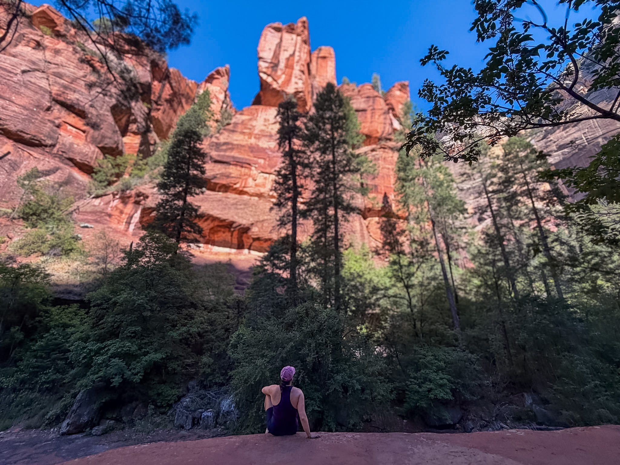 Red rock cliffs and lush vegetation along West Fork Trail Sedona