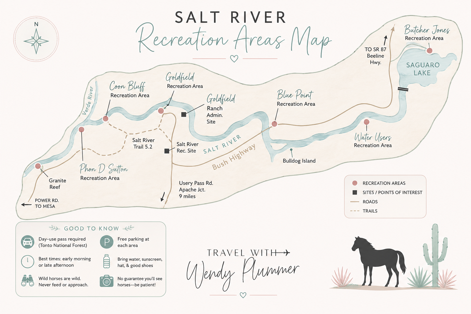 Salt River wild horses grazing beside the Lower Salt River near Phoenix