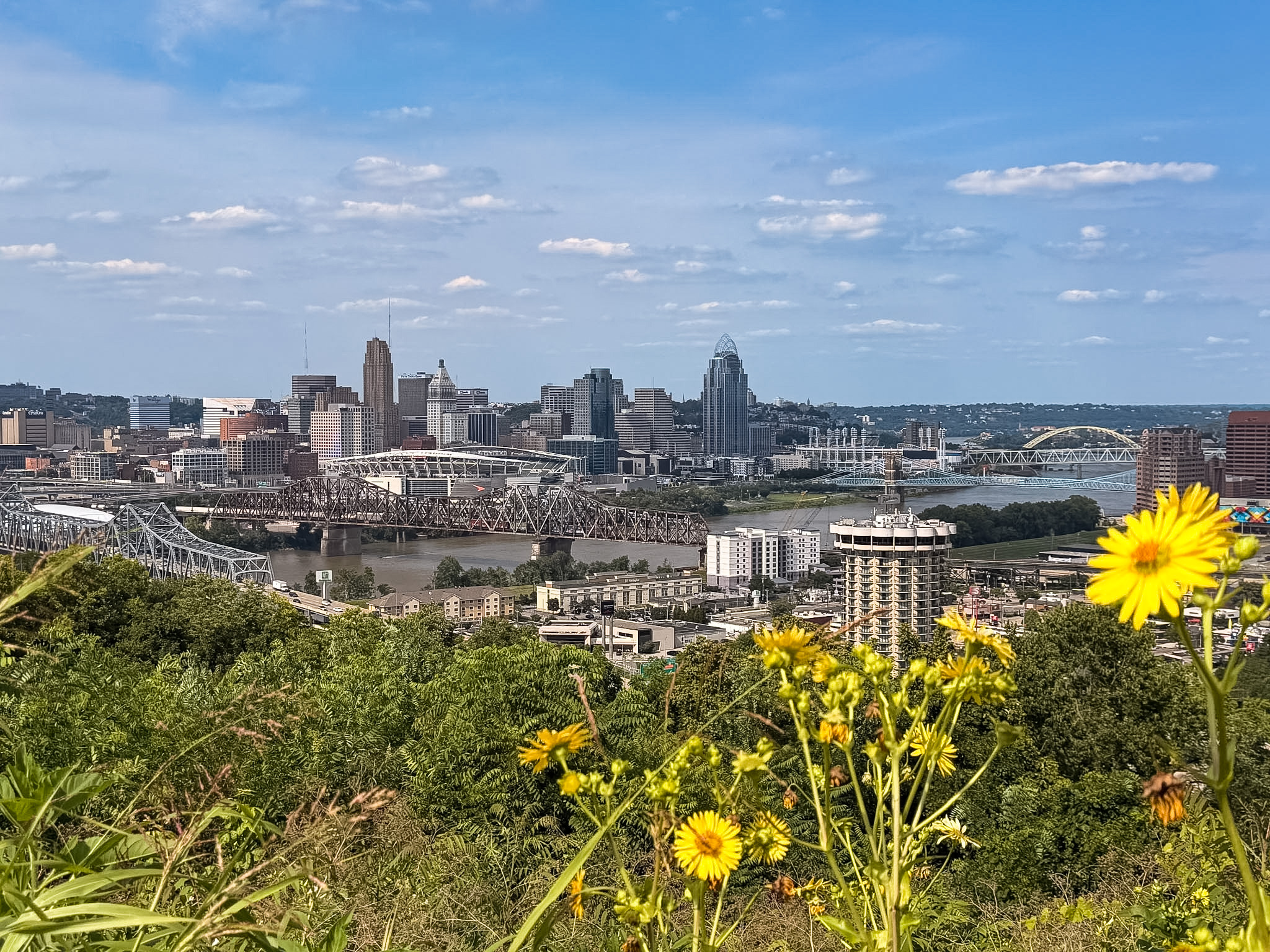 Downtown Cincinnati buildings photographed from Devou Park