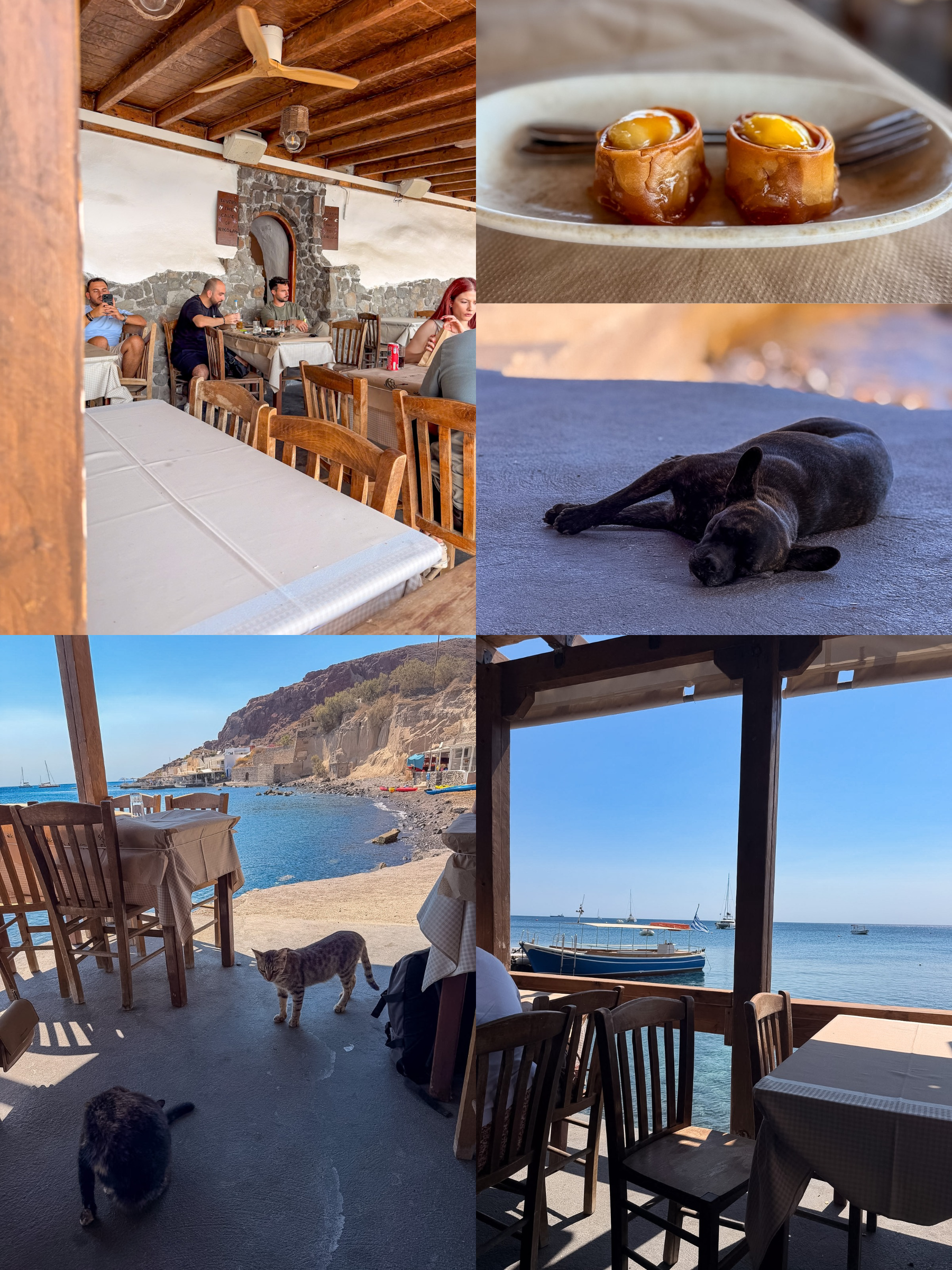 Fresh chloro cheese served at Cave of Nikolas in Akrotiri