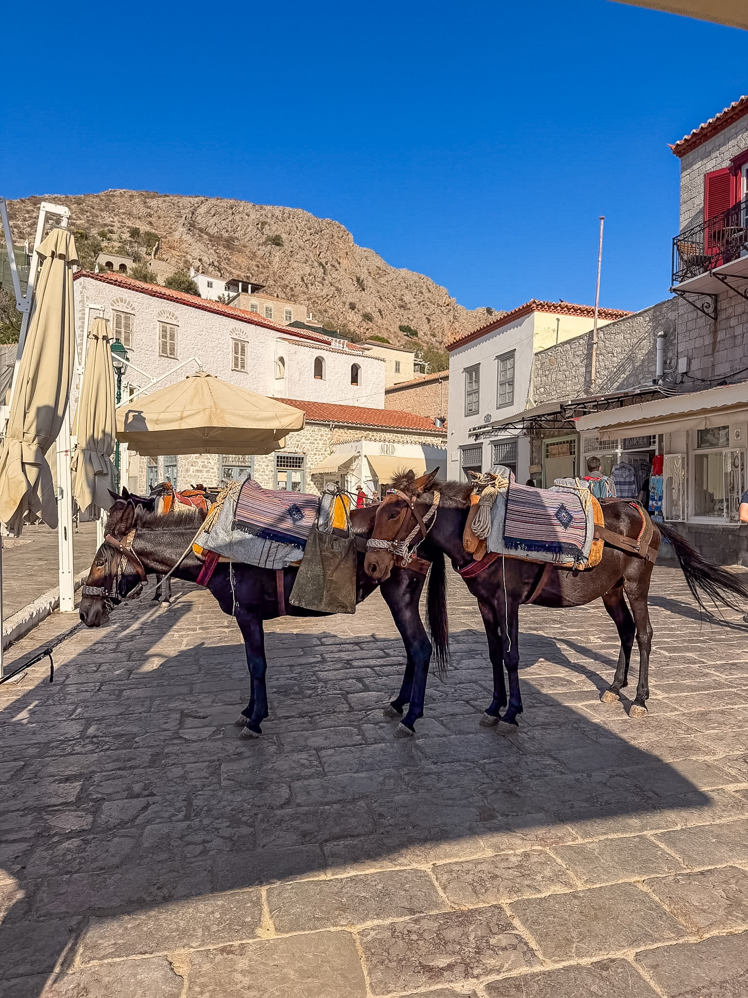 One day in Hydra Greece with colorful boats and historic stone buildings surrounding Hydra Harbor.